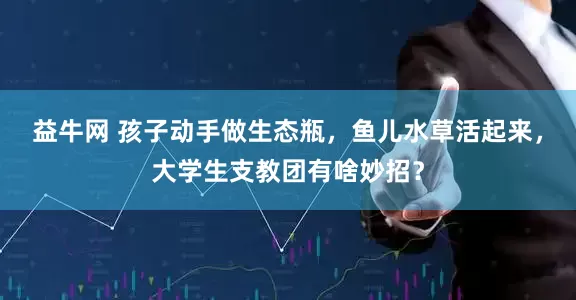 益牛网 孩子动手做生态瓶，鱼儿水草活起来，大学生支教团有啥妙招？