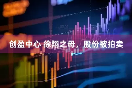 创盈中心 徐翔之母，股份被拍卖