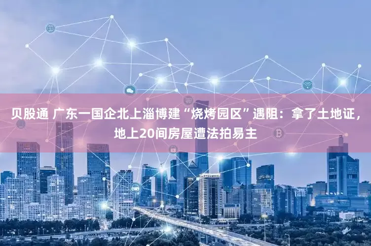 贝股通 广东一国企北上淄博建“烧烤园区”遇阻：拿了土地证，地上20间房屋遭法拍易主